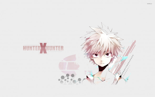 Обои картинки фото аниме, hunter x hunter, охотник, х