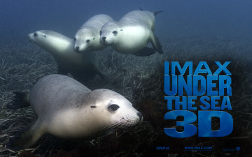 Картинка under the sea 3d кино фильмы