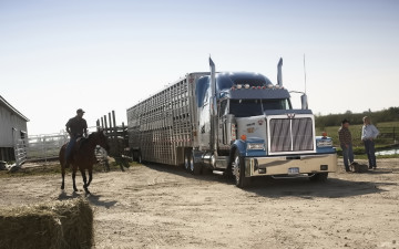 Картинка автомобили western star