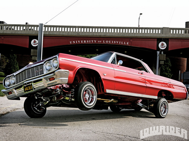 Обои картинки фото 1964, chevrolet, impala, автомобили