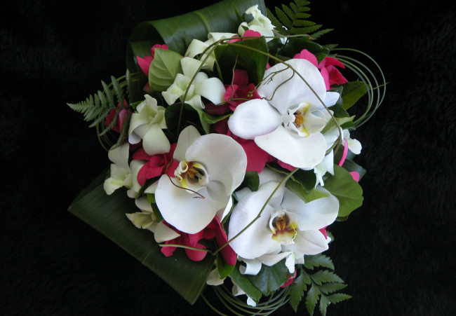 Обои картинки фото цветы, букеты, композиции, листья, орхидеи