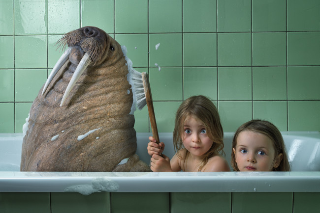Обои картинки фото юмор и приколы, ванна, морж, девочки, дети, купание