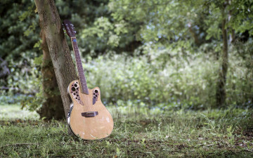 Картинка музыка -музыкальные+инструменты растения дерево гитара