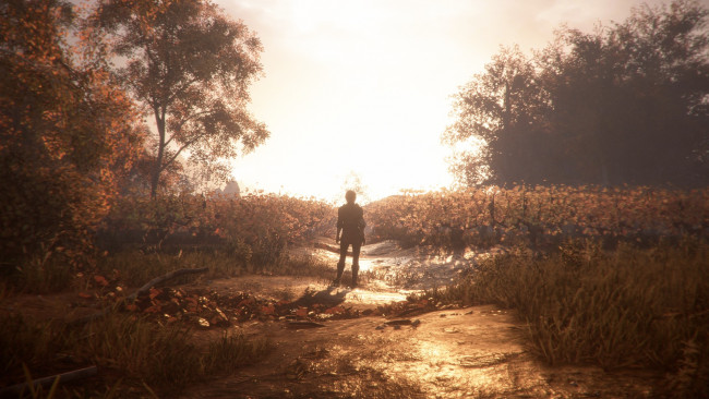 Обои картинки фото видео игры, a plague tale,  innocence, поле, деревья, девушка