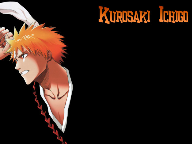 Обои картинки фото аниме, bleach