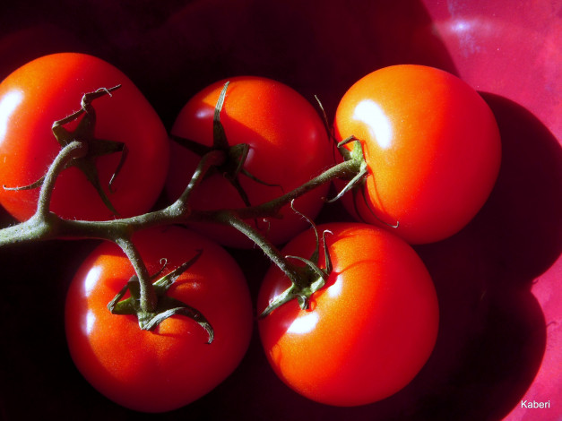 Обои картинки фото еда, помидоры, красный, помидорки, томаты