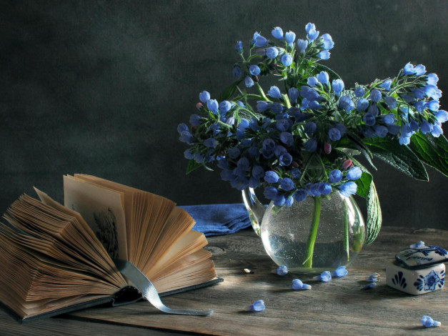 Обои картинки фото цветы, луговые, полевые, натюрморт, лента, голубые, ваза, книга, шкатулка, закладка
