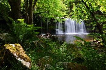 Картинка brecon beacons national park england природа водопады англия лес папоротник