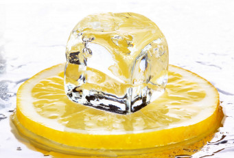 Картинка еда цитрусы лимон цитрус лед кубики limon citrus ice cubes food