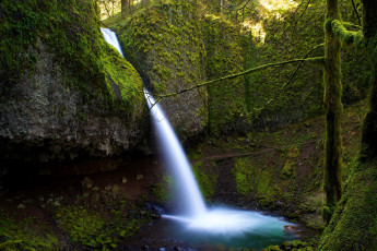 Картинка природа водопады орегон деревья сша река водопад