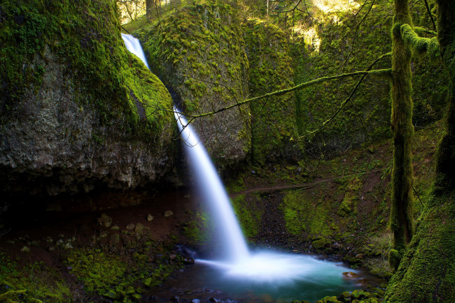 Обои картинки фото природа, водопады, орегон, деревья, сша, река, водопад