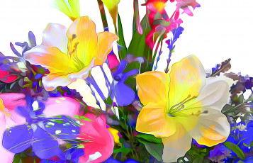 Картинка разное компьютерный+дизайн природа лепестки линии цветы краски