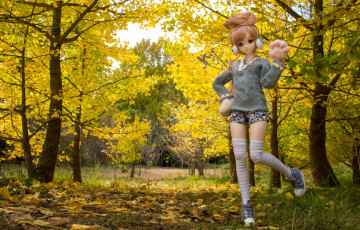 Картинка разное игрушки листья осень природа игрушка кукла деревья