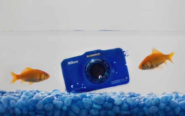 Обои картинки фото бренды, nikon, камера, никон, фотоаппарат, камни, рыбки, вода, синий