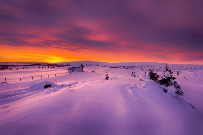 Обои картинки фото природа, зима, утро, норвегия, домик, свет, снег, декабрь