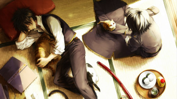 Картинка аниме gintama коты парни спит