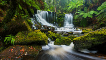 Картинка природа водопады horseshoe falls mount field national park австралия тасмания водопад подкова национальный парк маунт-филд tasmania australia лес камни река каскад
