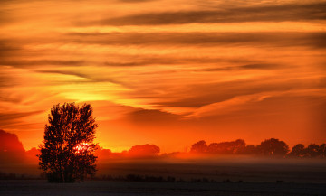 Картинка природа восходы закаты деревья поле закат туман облака зарево