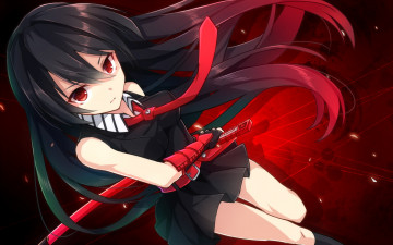 Картинка akame+ga+kill аниме девушка взгляд фон