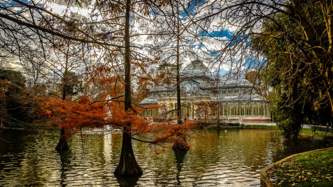 Обои картинки фото palacio de cristal,  retiro,  madrid, города, мадрид , испания, парк, дворец