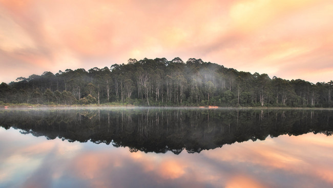 Обои картинки фото природа, реки, озера, облака, деревья, лес, австралия, пембертон, туман