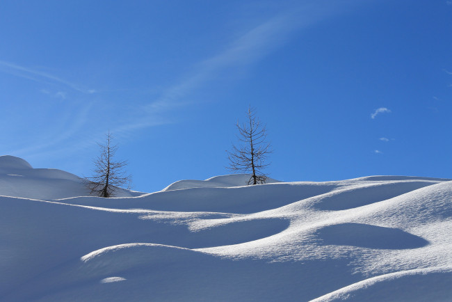 Обои картинки фото природа, зима, снег, деревце, холмы, небо, склон