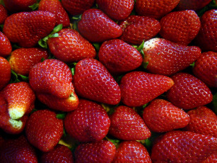 Картинка еда клубника +земляника макро много ягоды