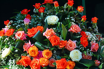 Картинка цветы букеты +композиции розы букет