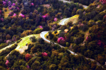 Картинка природа дороги панорама деревья дорога серпантин