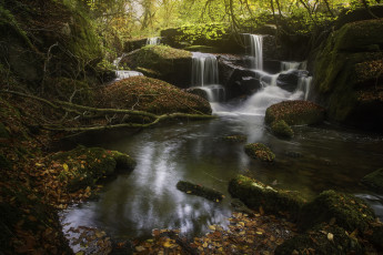 Картинка природа водопады stream листья вода поток водопад осень waterfall autumn water leaves