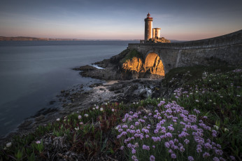 Картинка природа маяки побережье пляж море камни цветы маяк