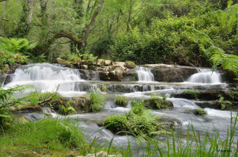 Картинка природа реки озера waterfall вода река river stream rocks поток камни водопад water