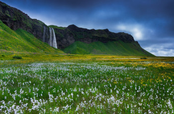 Картинка природа водопады исландия скалы цветы трава водопад