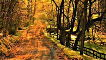 Картинка природа дороги дорога проселочная осень