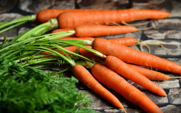Картинка еда морковь корнеплоды ботва