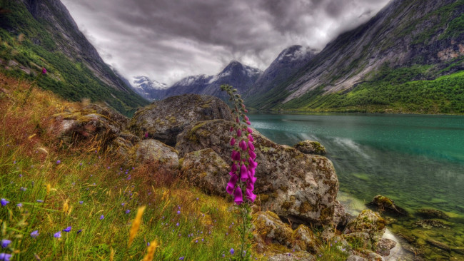 Обои картинки фото природа, реки, озера, камни, горы, облака, река, цветок