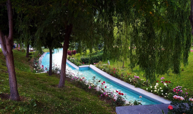 Обои картинки фото природа, парк, цветы, клумбы, бассейн