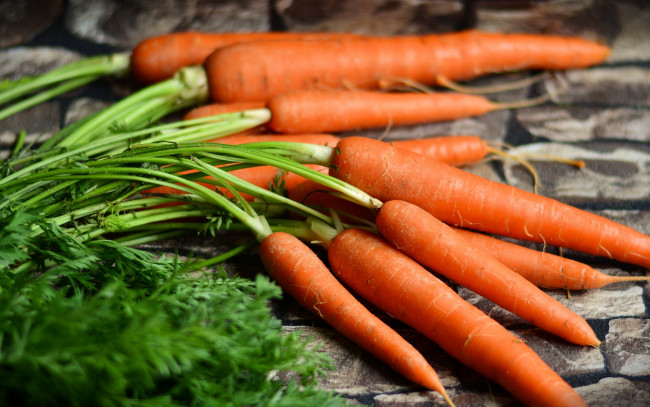 Обои картинки фото еда, морковь, корнеплоды, ботва