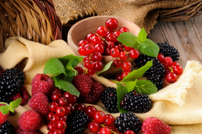 Обои картинки фото еда, фрукты,  ягоды, малина, ежевика, красная, смородина