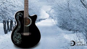обоя музыка, -музыкальные инструменты, растения, дорога, зима, природа, снег, гитара