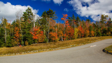 Картинка природа дороги шоссе дорога осень