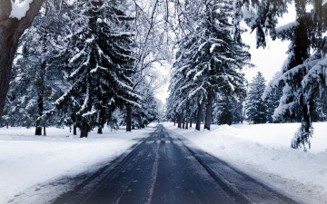 Картинка природа дороги шоссе снег зима