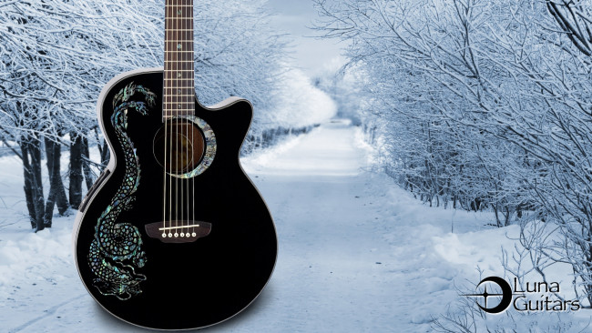 Обои картинки фото музыка, -музыкальные инструменты, растения, дорога, зима, природа, снег, гитара