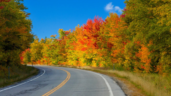 Обои картинки фото природа, дороги, осень, поворот, шоссе, дорога