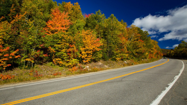 Обои картинки фото природа, дороги, шоссе, дорога, осень, поворот
