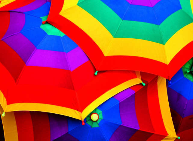 Обои картинки фото разное, сумки, кошельки, зонты, яркий, разноцветный