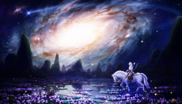 Картинка аниме животные +существа лошадь горы космос всадник небо ночь цветы вода арт makkou4