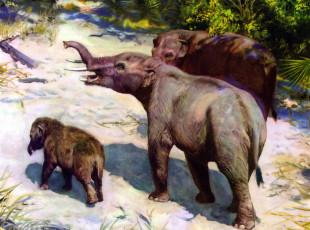 Картинка рисованное животные трое