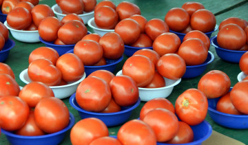Картинка еда помидоры томаты много