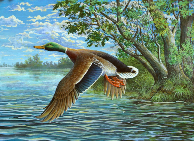 Обои картинки фото рисованное, животные,  птицы,  утки, деревья, облака, трава, водоем